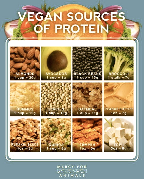 12 Favorite Plant Sources Of Protein + 39 Plant Based Recipes - New ...